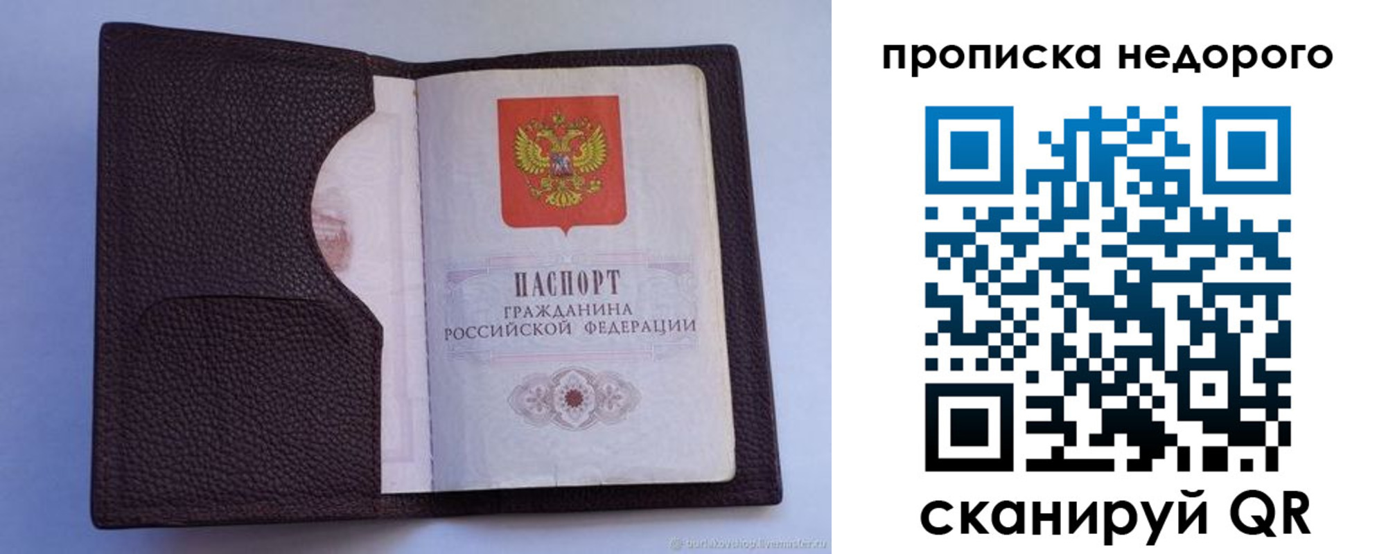прописка законно в Александровске