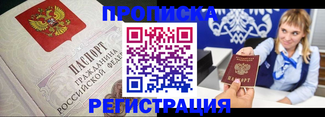 прописка поиск в Александровске